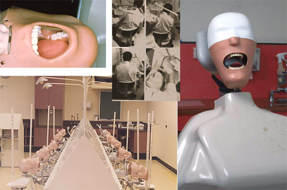 Ergonomics Simulation Lab